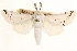  ( - CCDB-22947-C05)  @11 [ ] CreativeCommons - Attribution (2014) CBG Photography Group Centre for Biodiversity Genomics