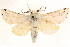  ( - CCDB-22947-C06)  @11 [ ] CreativeCommons - Attribution (2014) CBG Photography Group Centre for Biodiversity Genomics