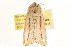  ( - CCDB-22947-H05)  @11 [ ] CreativeCommons - Attribution (2014) CBG Photography Group Centre for Biodiversity Genomics