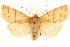  ( - CCDB-22947-H07)  @11 [ ] CreativeCommons - Attribution (2014) CBG Photography Group Centre for Biodiversity Genomics