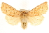  ( - CCDB-22947-H09)  @11 [ ] CreativeCommons - Attribution (2014) CBG Photography Group Centre for Biodiversity Genomics