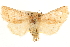  ( - CCDB-22947-H11)  @11 [ ] CreativeCommons - Attribution (2014) CBG Photography Group Centre for Biodiversity Genomics