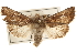  ( - CCDB-22948-C05)  @14 [ ] CreativeCommons - Attribution (2014) CBG Photography Group Centre for Biodiversity Genomics