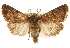  ( - CCDB-22948-C09)  @15 [ ] CreativeCommons - Attribution (2014) CBG Photography Group Centre for Biodiversity Genomics
