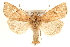  ( - CCDB-22950-G09)  @13 [ ] CreativeCommons - Attribution (2014) CBG Photography Group Centre for Biodiversity Genomics