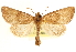  ( - CCDB-22950-H05)  @11 [ ] CreativeCommons - Attribution (2014) CBG Photography Group Centre for Biodiversity Genomics