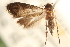  ( - CCDB-22952-G07)  @11 [ ] CreativeCommons - Attribution (2014) CBG Photography Group Centre for Biodiversity Genomics