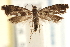  ( - CCDB-22952-G10)  @13 [ ] CreativeCommons - Attribution (2014) CBG Photography Group Centre for Biodiversity Genomics