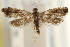  ( - CCDB-22952-G11)  @11 [ ] CreativeCommons - Attribution (2014) CBG Photography Group Centre for Biodiversity Genomics