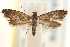  ( - CCDB-22952-G12)  @13 [ ] CreativeCommons - Attribution (2014) CBG Photography Group Centre for Biodiversity Genomics