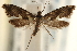  ( - CCDB-22952-H01)  @11 [ ] CreativeCommons - Attribution (2014) CBG Photography Group Centre for Biodiversity Genomics