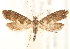  ( - CCDB-22952-H02)  @11 [ ] CreativeCommons - Attribution (2014) CBG Photography Group Centre for Biodiversity Genomics