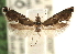  ( - CCDB-22954-A05)  @11 [ ] CreativeCommons - Attribution (2014) CBG Photography Group Centre for Biodiversity Genomics