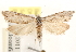  ( - CCDB-22958-E10)  @14 [ ] CreativeCommons - Attribution (2014) CBG Photography Group Centre for Biodiversity Genomics
