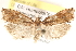  ( - CCDB-22958-F07)  @15 [ ] CreativeCommons - Attribution (2014) CBG Photography Group Centre for Biodiversity Genomics