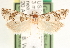  ( - CCDB-22958-F08)  @13 [ ] CreativeCommons - Attribution (2014) CBG Photography Group Centre for Biodiversity Genomics