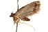  ( - CCDB-22960-B11)  @12 [ ] CreativeCommons - Attribution (2014) CBG Photography Group Centre for Biodiversity Genomics