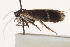  ( - CCDB-22960-H02)  @12 [ ] CreativeCommons - Attribution (2014) CBG Photography Group Centre for Biodiversity Genomics