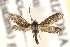  ( - CCDB-22960-H04)  @13 [ ] CreativeCommons - Attribution (2014) CBG Photography Group Centre for Biodiversity Genomics