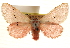  ( - CCDB-23268-A06)  @11 [ ] CreativeCommons - Attribution (2014) CBG Photography Group Centre for Biodiversity Genomics
