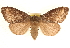  ( - CCDB-23268-F07)  @15 [ ] CreativeCommons - Attribution (2014) CBG Photography Group Centre for Biodiversity Genomics