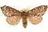  ( - CCDB-23268-F10)  @14 [ ] CreativeCommons - Attribution (2014) CBG Photography Group Centre for Biodiversity Genomics