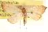  ( - CCDB-23268-H02)  @11 [ ] CreativeCommons - Attribution (2014) CBG Photography Group Centre for Biodiversity Genomics