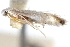  ( - CCDB-23269-C05)  @11 [ ] CreativeCommons - Attribution (2014) CBG Photography Group Centre for Biodiversity Genomics