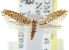  ( - CCDB-23269-F11)  @11 [ ] CreativeCommons - Attribution (2014) CBG Photography Group Centre for Biodiversity Genomics