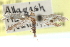  ( - CCDB-23269-G01)  @11 [ ] CreativeCommons - Attribution (2014) CBG Photography Group Centre for Biodiversity Genomics