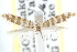 ( - CCDB-23269-G07)  @11 [ ] CreativeCommons - Attribution (2014) CBG Photography Group Centre for Biodiversity Genomics