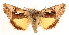  ( - CCDB-23270-A05)  @11 [ ] CreativeCommons - Attribution (2014) CBG Photography Group Centre for Biodiversity Genomics