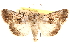  ( - CCDB-23270-E11)  @11 [ ] CreativeCommons - Attribution (2014) CBG Photography Group Centre for Biodiversity Genomics
