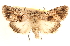  ( - CCDB-23270-F02)  @11 [ ] CreativeCommons - Attribution (2014) CBG Photography Group Centre for Biodiversity Genomics