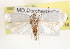  ( - CCDB-23271-D06)  @14 [ ] CreativeCommons - Attribution (2014) CBG Photography Group Centre for Biodiversity Genomics