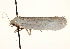  ( - CCDB-23271-D12)  @11 [ ] CreativeCommons - Attribution (2014) CBG Photography Group Centre for Biodiversity Genomics