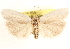  ( - CCDB-23271-E02)  @11 [ ] CreativeCommons - Attribution (2014) CBG Photography Group Centre for Biodiversity Genomics