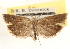  ( - CCDB-23271-E10)  @11 [ ] CreativeCommons - Attribution (2014) CBG Photography Group Centre for Biodiversity Genomics