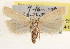  ( - CCDB-23271-E11)  @14 [ ] CreativeCommons - Attribution (2014) CBG Photography Group Centre for Biodiversity Genomics