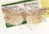  ( - CCDB-23271-F02)  @11 [ ] CreativeCommons - Attribution (2014) CBG Photography Group Centre for Biodiversity Genomics