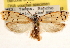  ( - CCDB-23273-A02)  @11 [ ] CreativeCommons - Attribution (2014) CBG Photography Group Centre for Biodiversity Genomics