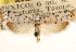  ( - CCDB-23273-A05)  @11 [ ] CreativeCommons - Attribution (2014) CBG Photography Group Centre for Biodiversity Genomics