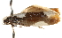  ( - CCDB-23273-B03)  @13 [ ] CreativeCommons - Attribution (2014) CBG Photography Group Centre for Biodiversity Genomics
