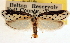  ( - CCDB-23273-B10)  @11 [ ] CreativeCommons - Attribution (2014) CBG Photography Group Centre for Biodiversity Genomics