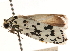  ( - CCDB-23273-F09)  @11 [ ] CreativeCommons - Attribution (2014) CBG Photography Group Centre for Biodiversity Genomics