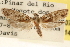  ( - CCDB-23273-G07)  @11 [ ] CreativeCommons - Attribution (2014) CBG Photography Group Centre for Biodiversity Genomics