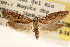  ( - CCDB-23273-G08)  @11 [ ] CreativeCommons - Attribution (2014) CBG Photography Group Centre for Biodiversity Genomics
