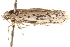  ( - CCDB-23274-B12)  @11 [ ] CreativeCommons - Attribution (2014) CBG Photography Group Centre for Biodiversity Genomics