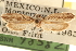  ( - CCDB-23274-C08)  @11 [ ] CreativeCommons - Attribution (2014) CBG Photography Group Centre for Biodiversity Genomics