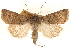  ( - CCDB-23275-A12)  @11 [ ] CreativeCommons - Attribution (2014) CBG Photography Group Centre for Biodiversity Genomics